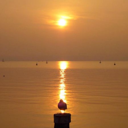 The Riva Apartment Sirmione Bagian luar foto