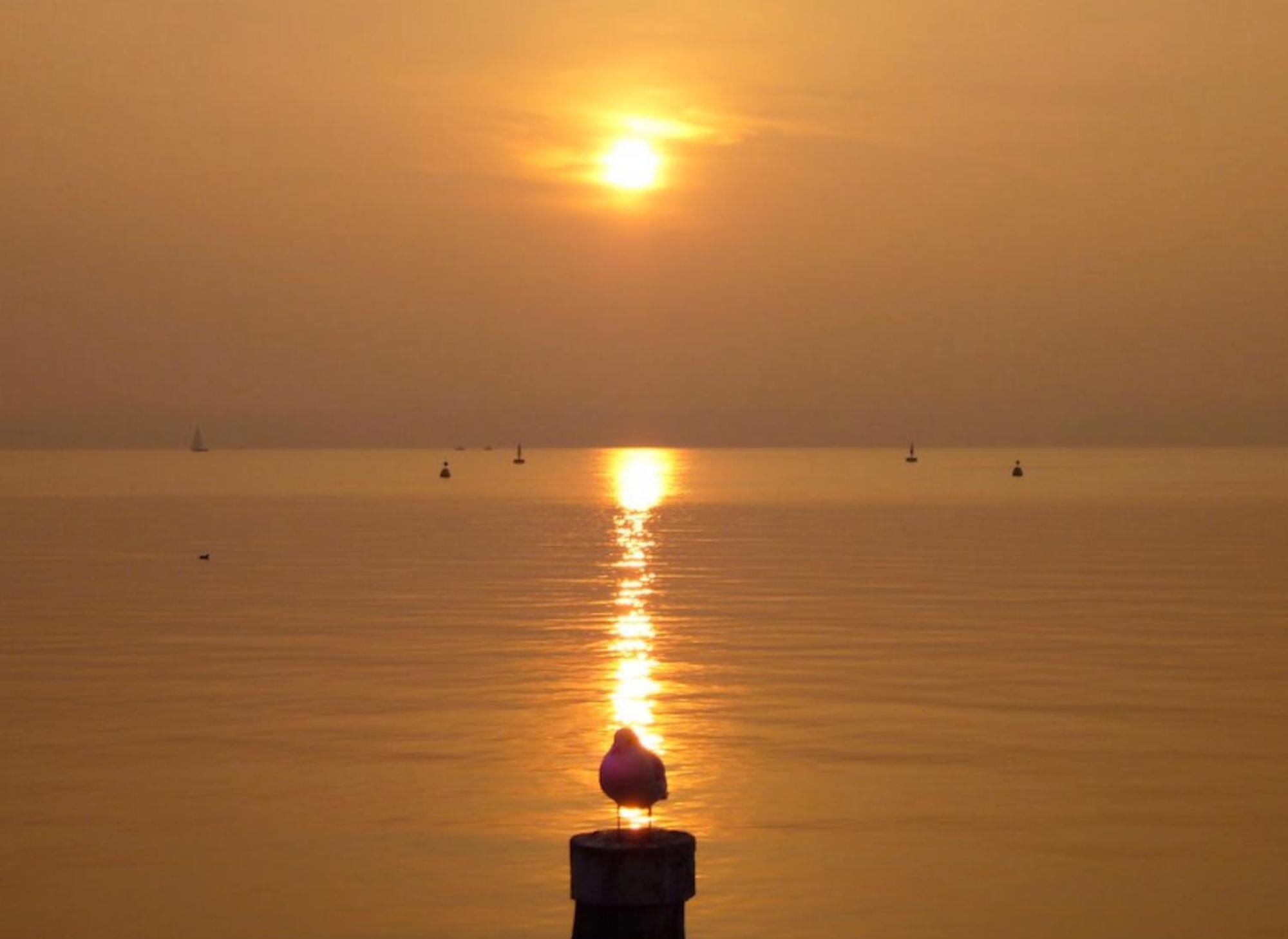 The Riva Apartment Sirmione Bagian luar foto